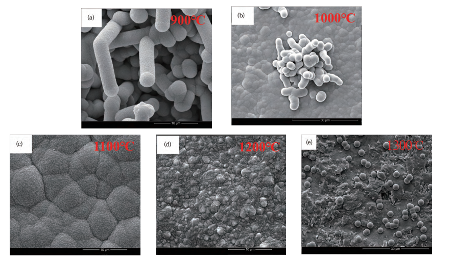 The Impact of Temperature on CVD-SiC Coatings