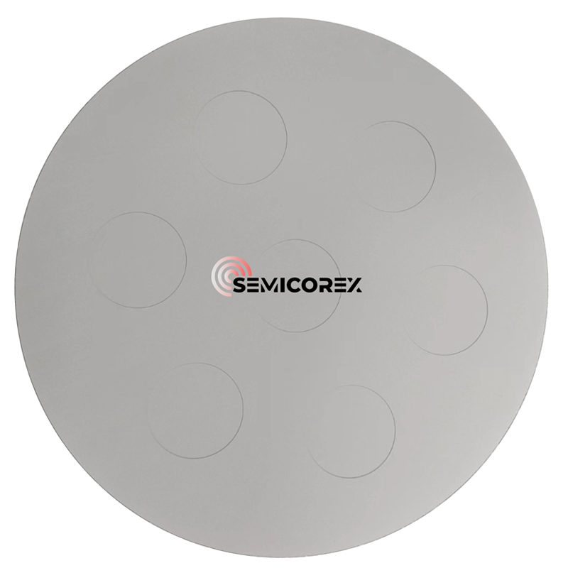 SiC-coated Wafer Disc